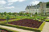 The vegetable garden. Chateau de Villandry, France