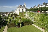 Rose garden of the bishop's terraces in Blois, France