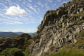 The Vogelsteine, rocks, Rossberg massif, Hautes Vosges, Haut Rhin, France