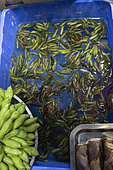 Odonate larvae, Dali market, Yunnan, China