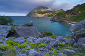 Ferns, San Julian beach, Mount Candina, Cantabrian Sea, Liendo valley, Cantabria, Spain