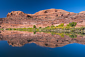Reflections in the Colorado River, Moab Canyon, Moab, Arches National Park, Colorado Plateau, Utah, Grand County, Usa