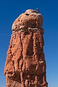 Owl Rock, Garden of Eden, Arches National Park, Colorado Plateau, Utah, Grand County, Usa