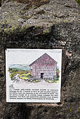 Rock with information panel on Gallo-Roman temple, mountain ash, top of Donon, Hautes Vosges, Bas Rhin, France
