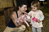 Little girl caressing a piglet on a farm, stable, farm des Pampilles, Masevaux, Haut Rhin, France