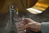 Filling of a glass of water, the refreshment bar, Source des Savonneuses, the National bath, thermal establishment built in 1811 and restored in 1935, Plombieres les Bains, Vosges, France