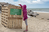 Girl throwing a plastic waste in a tidal bin on a beach on the Opal Coast, summer, Pas de Calais, France