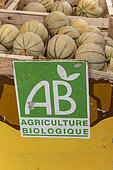 Melons from organic farming on a market, summer, Ardèche, France