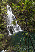 Waterfall in a rain forest in the Blue River Park. New Caledonia.