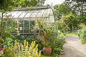 Spiraea japonica 'Anthony Waterer', Lysimachia punctata 'Alexander', Jardin Insolite, Parc Floral Vincennes, Paris, France
