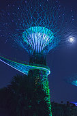 Super tree with the moon light in the garden of the bay park. Singapour