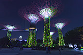 Super trees Garden of the bay park. Singapour