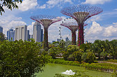 Super trees Garden by the bay park. Singapour