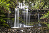 Russel Waterfall, Mount Field National Park, Tasmania, Australia
