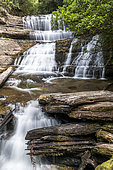Lady Barron Waterfall, Mount Field National Park, Tasmania, Australia