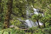Marriotts Waterfall, Mount Field National Park, Tasmania, Australia