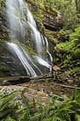 Marriotts Waterfall, Mount Field National Park, Tasmania, Australia