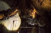 Dolomite Cave in Tasmania, Australia
