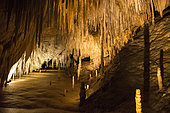 Dolomite Cave in Tasmania, Australia