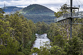 Huon River from Tahune AirWalk, Tahune Forest Reserve, Tasmania, Australia
