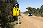 Road signs indicating the presence of penguins, Bruny island, Tasmania, Australia