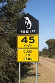 Road signs indicating the presence of penguins, Bruny island, Tasmania, Australia