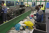 Employees of a waste facility on a conveyor belt sorting line. Manual sorting of plastic to to separate non-recyclable plastic PET objects. Some qualities of plastics can not be recycled and should be incinerated. PETs used in water bottles and juices instead can be recycled, for example, into garment fabrics. Portugal
