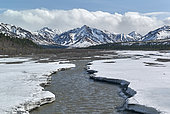 Teklanika river, in spring, Denali National Park, Alaska