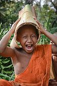 Cambodian monk in the province of Siem Reap playing with a banana trunk he puts on his head
