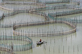 Cages with nets for raising fish in open sea, Fish Farming, boat, Xiapu County, Fujiang Province, China