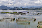 Cages with nets for raising fish in open sea, Fish Farming, Xiapu County, Fujiang Province, China