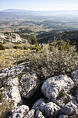 North side of the small Luberon above Oppède, Calavon and Ventoux valley, Luberon Regional Nature Park, Vaucluse, France