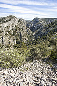 Combe de Vidauque, Petit Lubéron, Luberon Regional Nature Park, France