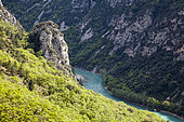 Gorges du Verdon, La-Palud-sur-Verdon, Réserve naturelle régionale de Saint Maurin, Parc naturel régional du Verdon, Alpes de Haute Provence, France