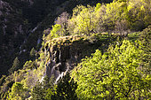 Cascade sur tuf (concrétion calcaire, directive habitat), Réserve naturelle régionale de Saint Maurin, La-Palud-sur-Verdon, parc naturel régional du Verdon, Alpes de Haute Provence,