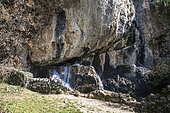 Boulon spring (born under karst limestone cliffs), Robion, PNR Luberon, Vaucluse, France