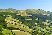 The valley of Mars (river) seen from the village of Falgoux in summer, Monts du Cantal, Regional Natural Park of Auvergne Volcanoes, France
