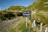 The Col du Redondet in summer, Monts du Cantal, Regional Natural Park of the Auvergne Volcanoes, France