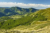 The valley of the Jordanne from the flanks of Puy Chavaroche (1739 m), Cantal Mountains, Regional Natural Park of the Auvergne Volcanoes, France