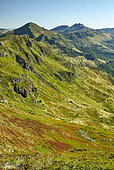 The valley of the Jordanne from the flanks of Puy Chavaroche (1739 m), in the distance the Puy Mary (1783 m) and the Peyre-Arse (1806 m), Cantal Mountains, Regional Natural Park of the Auvergne Volcanoes, France