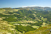 The valley of the Jordanne from the flanks of Puy Chavaroche (1739 m), Monts du Cantal, Regional Natural Park of Auvergne Volcanoes, France