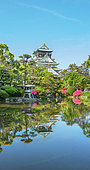 Garden of osaka castle under ans azalea in full blum, Japan