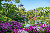Garden of osaka castle under ans azalea in full blum, Japan