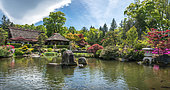 Manoe's hotel garden, Japan