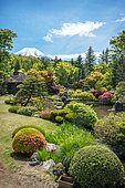 Mont Fuji's view along Manoe's hotel garden, Japan