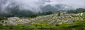 Maruyama Senmaida 's rice field, Japan