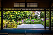 Azalea's full bloom in Jozanji temple, Anjo, Japan