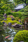 Pond at Jonangu Temple, Kyoto, Japan