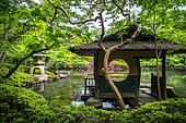 Happoen japanese's garden, tea house and azalea in fulll blum Tokyo, Japan