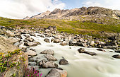 River flowing through the tundra, Greenland